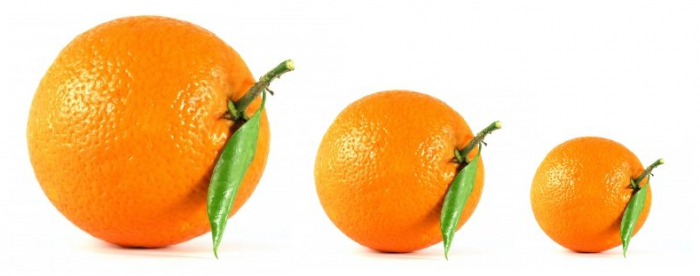 Preventing Illness
